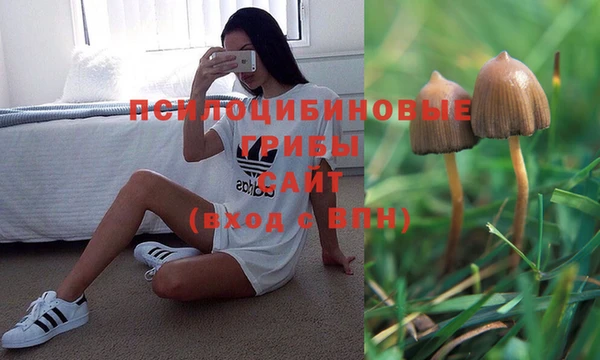 соль курить ск Нефтекумск