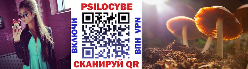 Псилоцибиновые грибы GOLDEN TEACHER  Элиста 